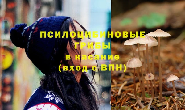 хмурый Протвино