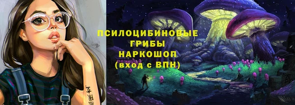 хмурый Протвино