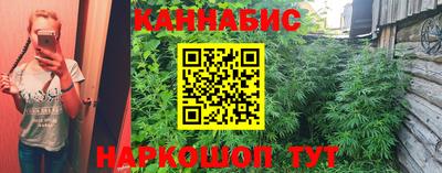 mdpv Заводоуковск