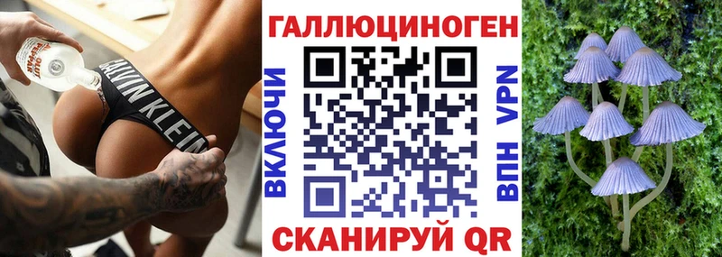 Галлюциногенные грибы Psilocybine cubensis  цена наркотик  Славгород 