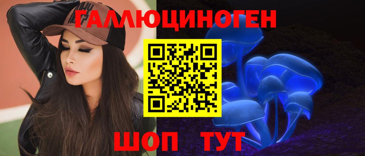 Галлюциногенные грибы Psilocybine cubensis Славгород