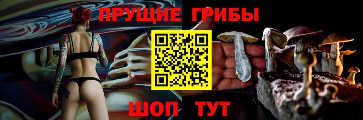 Псилоцибиновые грибы прущие грибы  сколько стоит  Славгород  Вход с VPN 