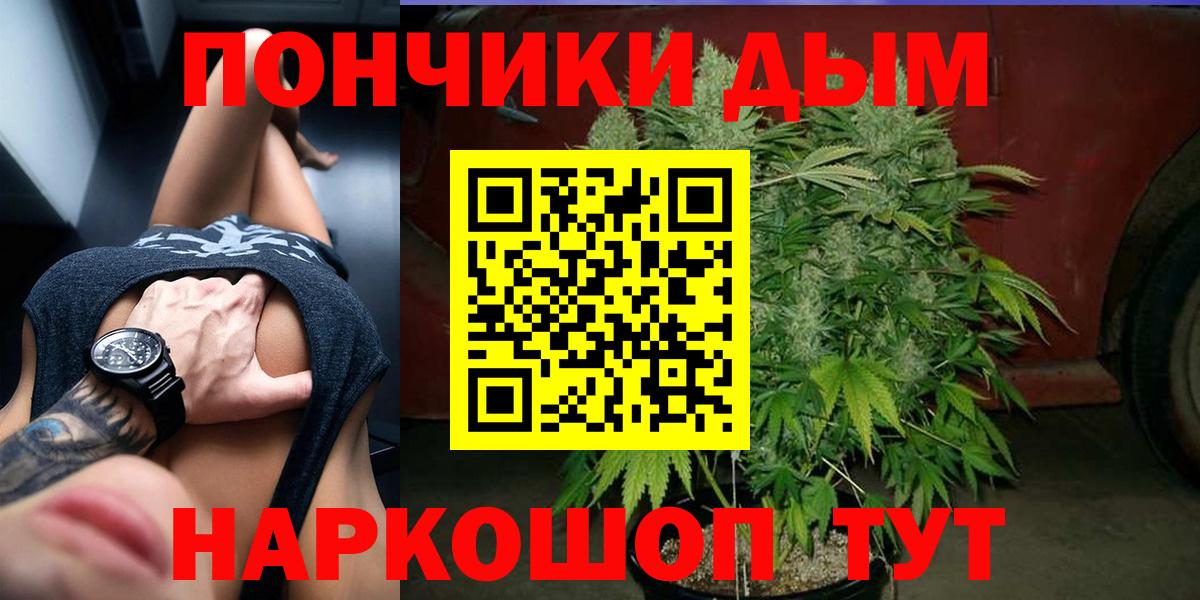 Шишки марихуана марихуана Славгород